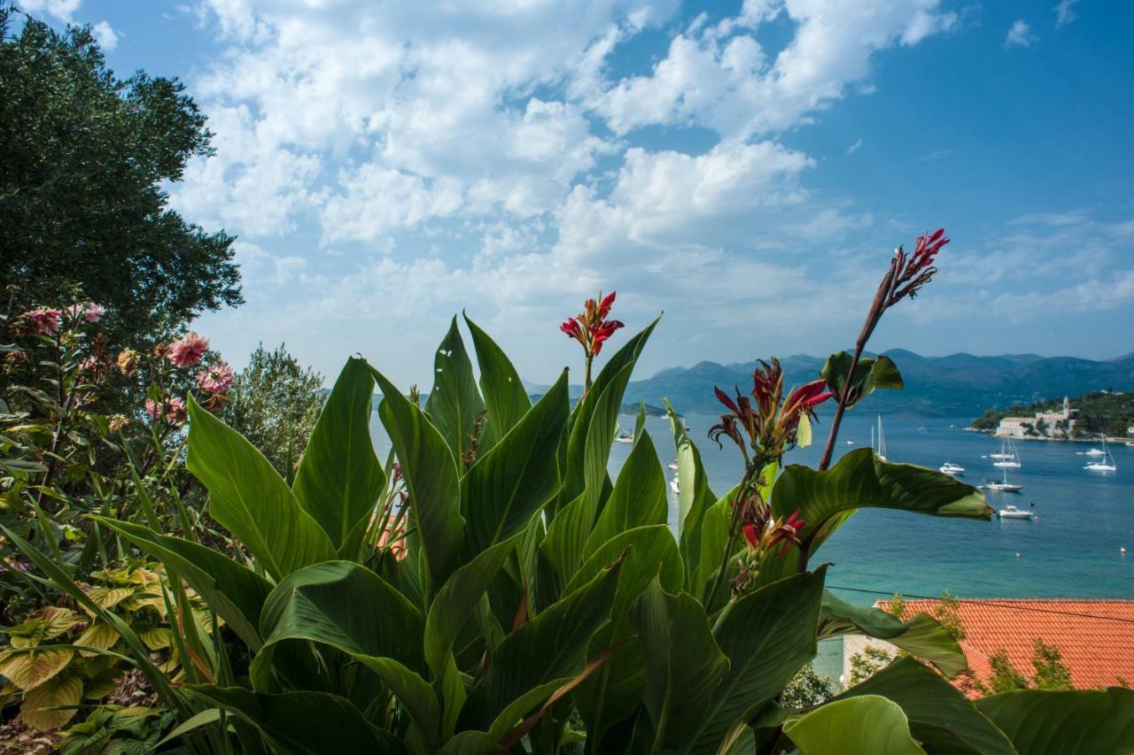 Boutique Hotel Tomic 洛帕德 外观 照片